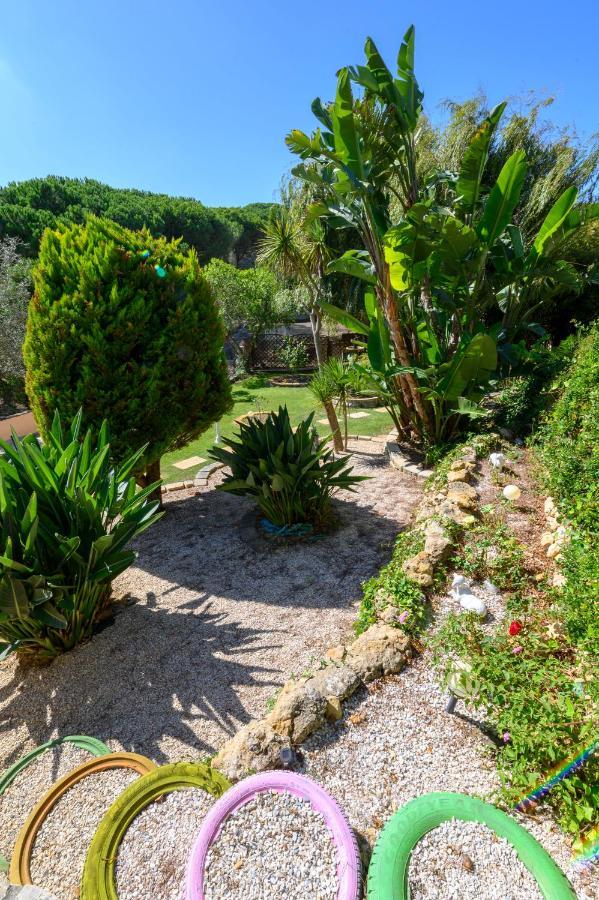 Quinta Do Vale - Natureza, Piscina E Praia! Carvoeira Exteriér fotografie