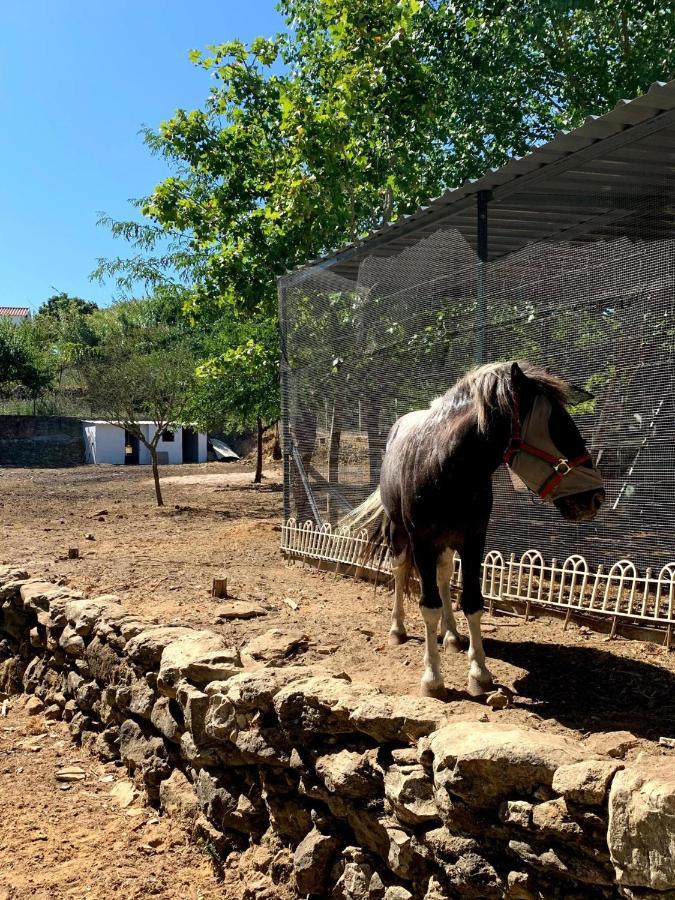 Quinta Do Vale - Natureza, Piscina E Praia! Carvoeira Exteriér fotografie